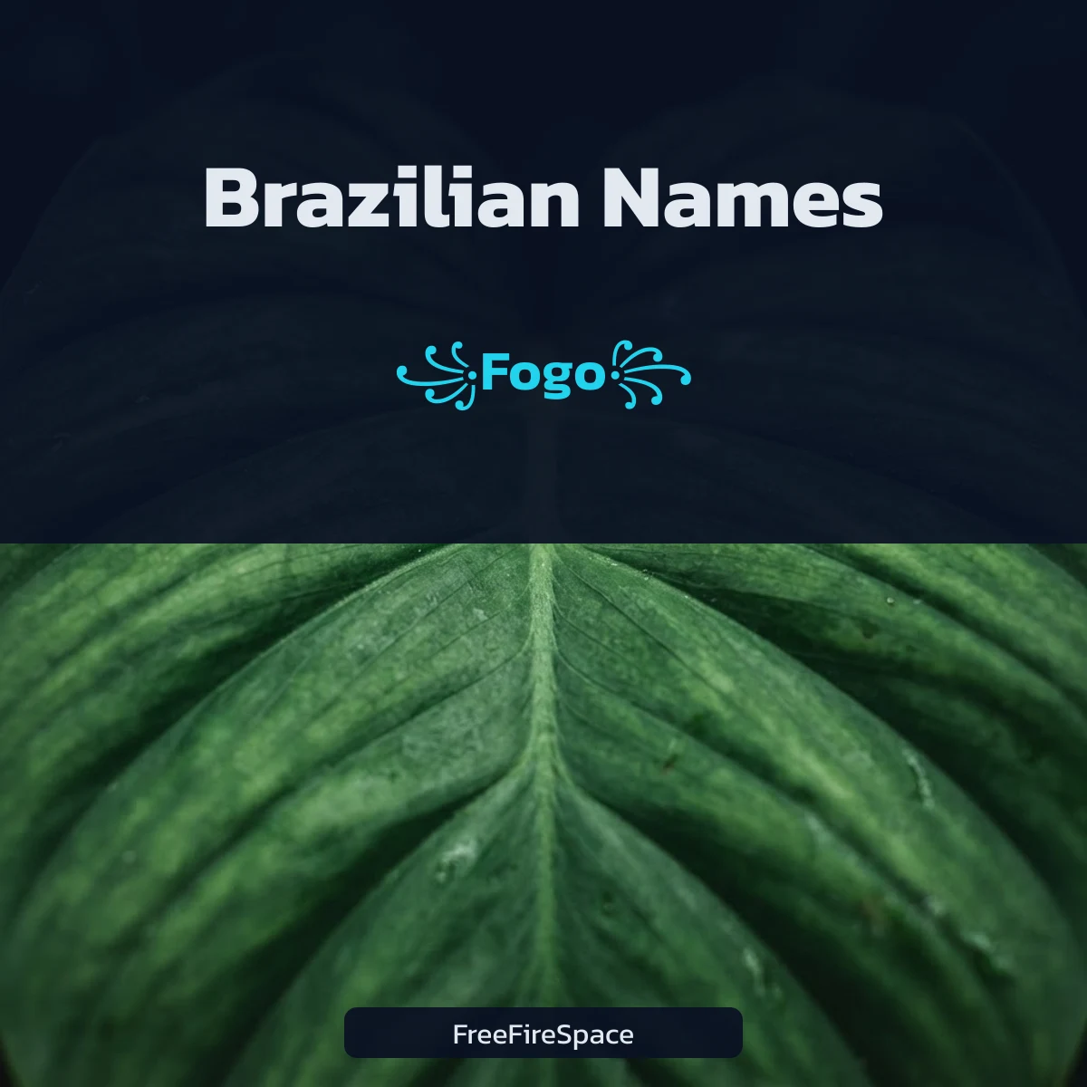 Brazilian Free Fire names with character counts